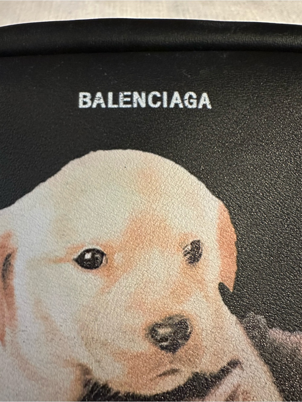 Balenciaga puppy and kitten crossbody bag - Picture 7 of 7